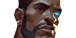 Veto killfeedPortrait