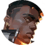 Phoenix minimapPortrait